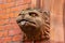 Gargoyle in the shape of a dog or lion with tongue sticking out