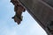 Gargoyle at St Etienne temple in Mulhouse