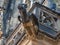 Gargoyle, St Vitus Cathedral