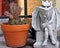 Gargoyle statue reads a book near a small, cactus plant