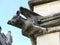 Gargoyle on top of the tower of St Mary`s Church, Old Amersham, Buckinghamshire, UK