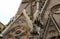 Gargoyles looking down from Notre Dame, Paris, France