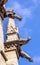 Gargoyles Sainte Chapelle Cathedral Spire Statues Paris France