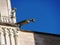 Gargoyles of St. Peter`s Cathedral in Poitiers in Vienna