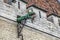 The Gargoyles of Tallinn, Estonia.