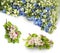 Garland of Forget-me and Baptisia on white background