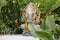 Garland of golden flowers draped around Ganesha