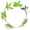 Garland of Herbs