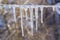 Garland from icicles on a rope in winter.