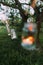 Garland of jars with burning candle hanging on a tree at evening time
