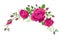 Garland of vine roses. Vector flower decoration for anniversary, cards, greetings. Valentine`s day, mother`s day. Ruby red, pink