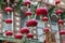 Garlands of red Chinese lanterns