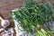 Garlic arrows. A bunch of greens on the table. Vegetable healthy vitamin food. Green stalks seedlings for salad and