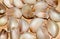 Garlic Background on brown wooden