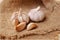 Garlic bulb and cloves on sackcloth