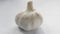 Garlic bulb isolated. Garlic on white background. Brazilian seasoning