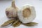 Garlic bulbs and bay leaves on white background. Brazilian seasoning