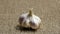 A garlic clove on a brown surface