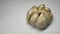 Garlic clove isolated. Garlic cloves set on white background. Unpeeled white garlic cloves collection. With clipping path. Full