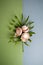 Garlic cloves lie on a leaf of a tropical plant on a blue-green