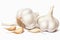 Garlic, cloves and white bulb isolated on white, in the style of karencore, visual puns, youthful energy