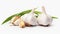 Garlic, cloves and white bulb isolated on white, in the style of karencore, visual puns, youthful energy