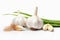 Garlic, cloves and white bulb isolated on white, in the style of karencore, visual puns, youthful energy