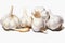 Garlic, cloves and white bulb isolated on white, in the style of karencore, visual puns, youthful energy