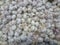 Garlic on the counter of the vegetable market. Close-up and top view of fresh vegetables on store shelves. Ingredients for salads