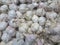 Garlic on the counter of the vegetable market. Close-up and top view of fresh vegetables on store shelves. Ingredients for salads