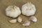 Garlic form Oganic farm