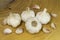 Garlic form Oganic farm