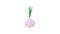 Garlic with fresh green sprout icon animation