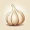 Garlic Galore: A Closeup Look at the Versatile Bulb for Cooking