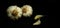 Garlic harvested from home garden by natural farming is isolated on a black background