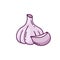 Garlic head and clove. Color doodle icon. Hand drawn simple illustration for food packaging design. Linear isolated vector