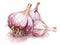 Garlic heads isolated on white background. Generative AI watercolor illustration