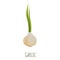 Garlic icon, cartoon style