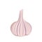 Garlic icon. Healthy food, a source of vitamins. Cure for diseases in folk medicine. Natural product suitable for