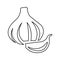 Garlic icon on a white background, vector illustration