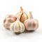Garlic Isolated On White Background - Gail Simone Style