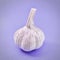 Garlic on lilac background. Square photo image.