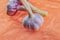Garlic lilac white vegetable set lies on an orange background seasoning