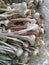 Garlic Manufacturer in Bihar India.Srock Images