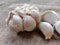 garlic for a mixture of cooking spices as well as for herbal medicine