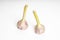 Garlic is one of the best natural anti-virus products. Photo of garlic bulbs on a white background