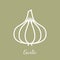 Garlic onion vector icon.