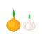 Garlic and onion vegetable clipart simple icon. Garlic and onion cartoon.