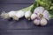 Garlic and onion vintage photo