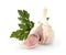 Garlic with parsley leaf